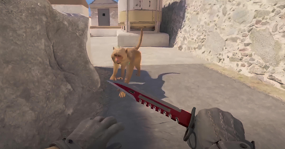 Monkey in CS2
