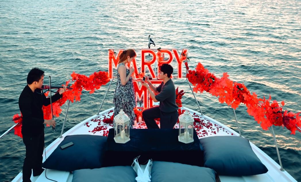 Abed proposes to his girlfriend