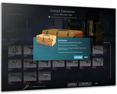 CS2 Skin rent