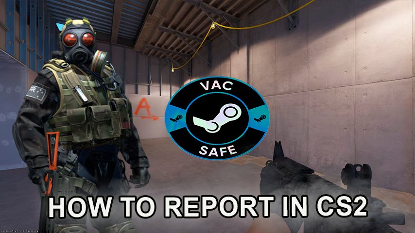 Toxicity Reports Unleashed: Tales from the CSGO Trenches