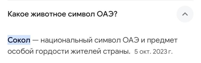 Jamba о Team Falcons на BetBoom Dacha Dubai 2024