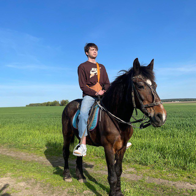 Malr1ne добрался домой