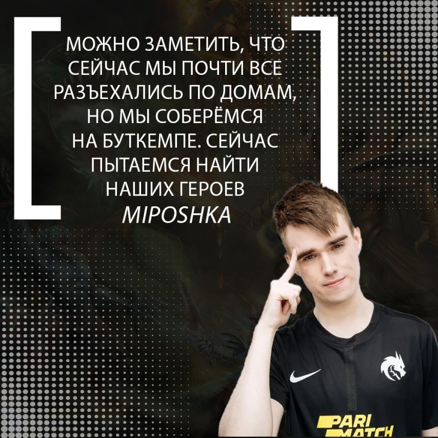 Miposhka Team Spirit