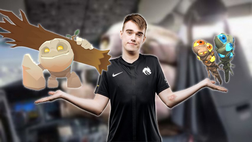 dota 2 team spirit miposhka tiny wards