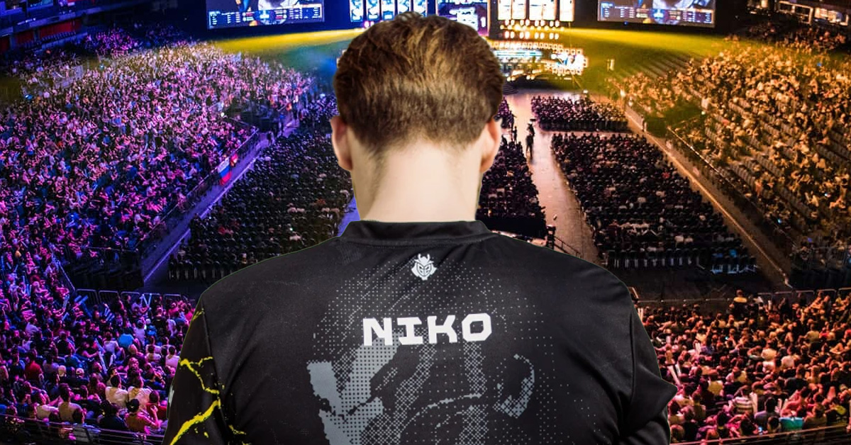 Niko Team Falcons