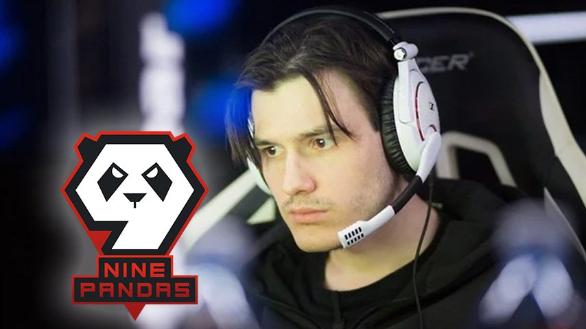 nofear coach at 9Pandas