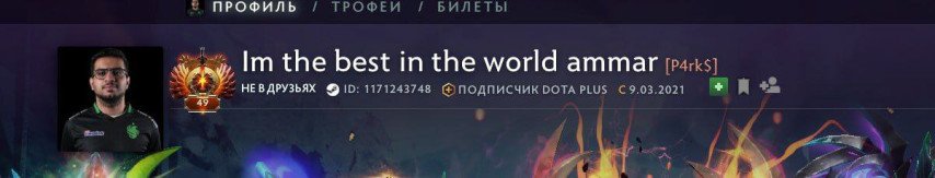 Новый никнейм Parker в Dota 2