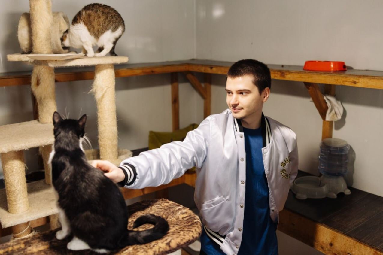 RAMZES666 at an animal shelter