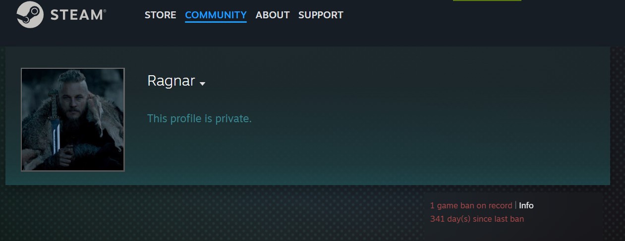 Sumail Steam