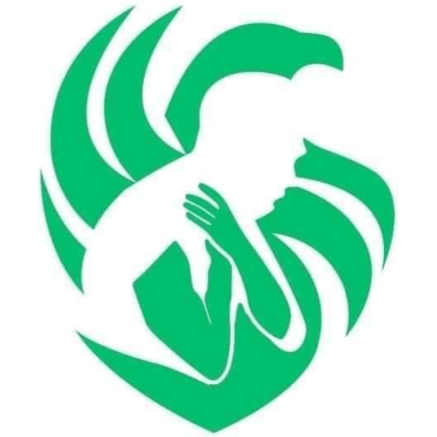 Team Falcons new logo