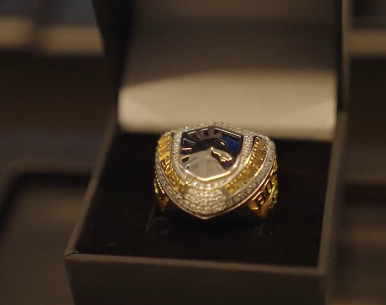 Team Liquid champin ring