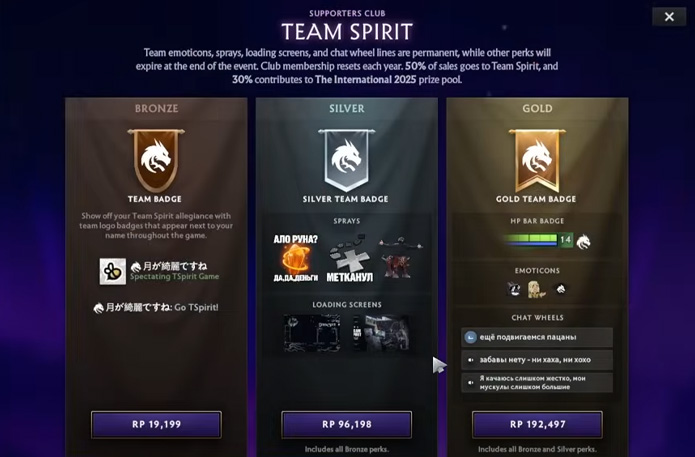 Team Spirit Bundle