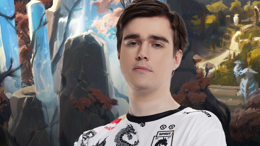 Miposhka Team Spirit