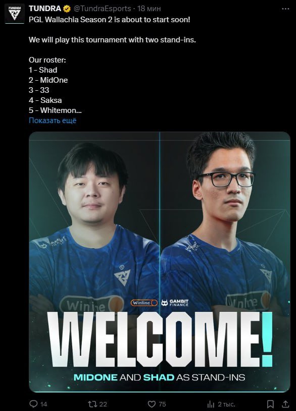 Tundra Esports новый состав