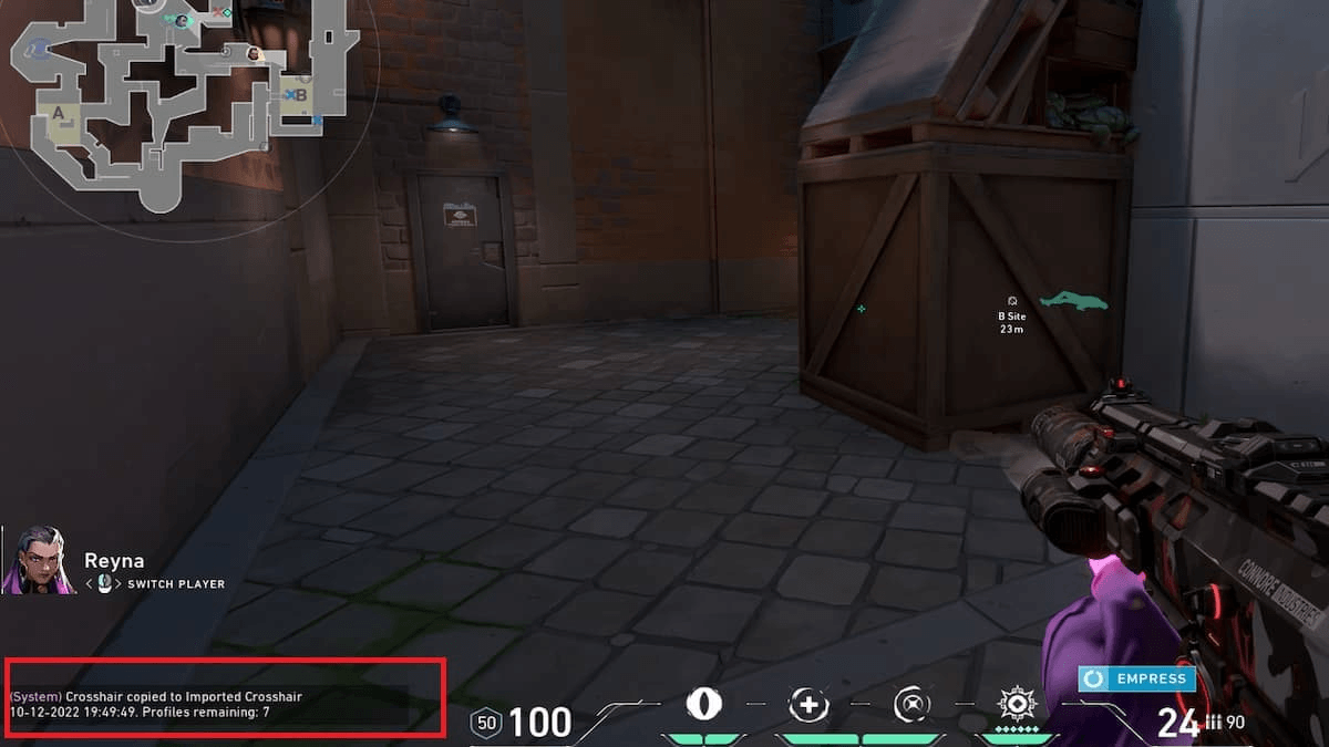 chat command in valorant to take crosshair