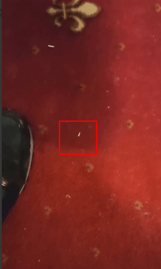 Worm at Games of the Future 2024