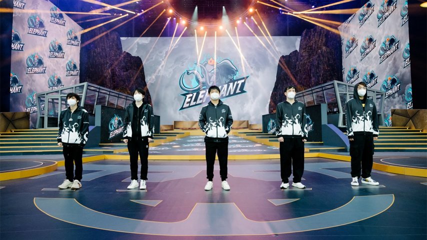 elephant is disbanding