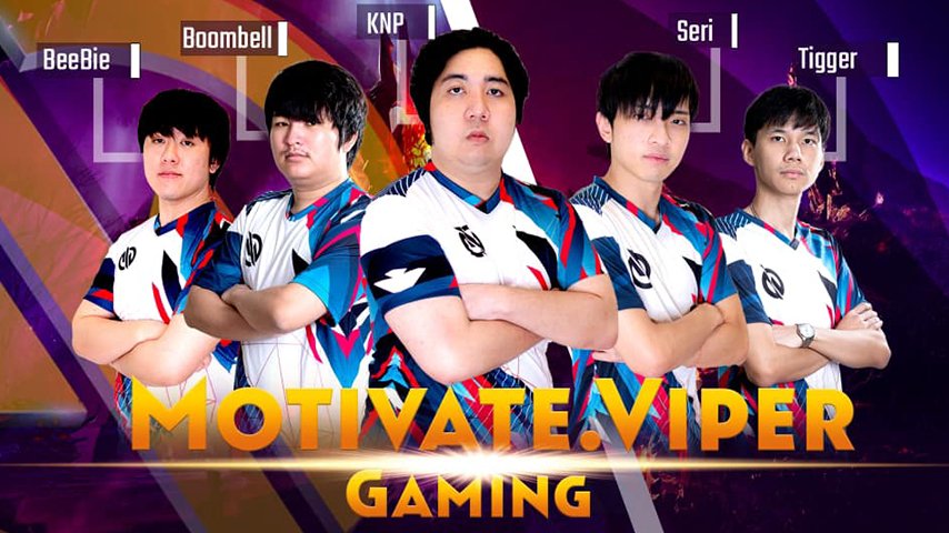 motivate viper gaming анонсировали dota 2 состав