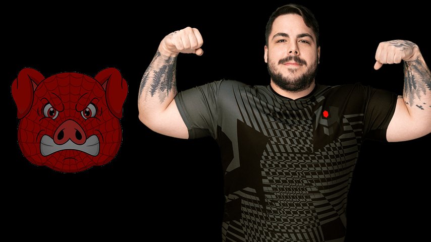 dnz покинул spider pigzs